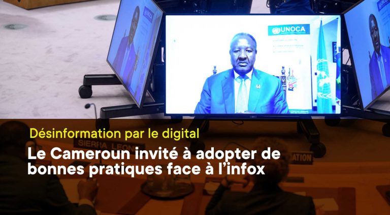 Désinformation par le digital